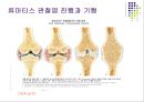 손목관절과 손 48페이지