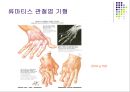 손목관절과 손 49페이지