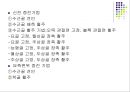 손목관절과 손 56페이지