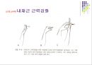 손목관절과 손 64페이지