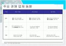 대한통운-컨설팅방법론 12페이지