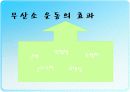 무산소운동과 생리적 반응 7페이지