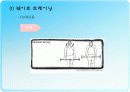 무산소운동과 생리적 반응 17페이지