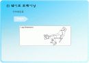 무산소운동과 생리적 반응 18페이지