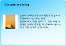 무산소운동과 생리적 반응 25페이지