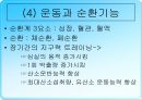 무산소운동과 생리적 반응 31페이지