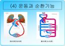 무산소운동과 생리적 반응 32페이지