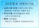 무산소운동과 생리적 반응 33페이지