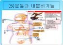 무산소운동과 생리적 반응 34페이지