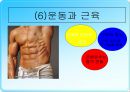 무산소운동과 생리적 반응 35페이지