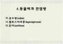 동물매개 전염병 1페이지