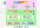 신경계와 파키스병 3페이지
