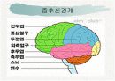 신경계와 파키스병 6페이지