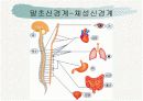 신경계와 파키스병 8페이지