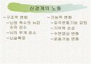 신경계와 파키스병 10페이지