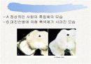 신경계와 파키스병 18페이지