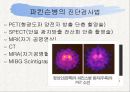 신경계와 파키스병 24페이지