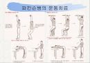신경계와 파키스병 33페이지