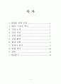레인콤 글로벌 마케팅 2페이지