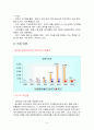 레인콤 글로벌 마케팅 9페이지