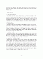 레인콤 글로벌 마케팅 10페이지