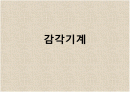 감각기계 1페이지