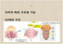 감각기계 12페이지
