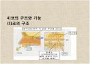 감각기계 14페이지