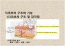 감각기계 16페이지