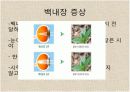 감각기계 25페이지