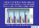 하우젠 버블 기획서 11페이지