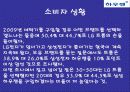 하우젠 버블 기획서 13페이지