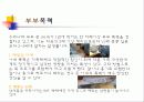 가족관계- 가정폭력 10페이지