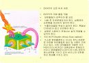 오존층파괴와우리의대책 18페이지