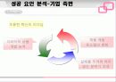 닌텐도의 성공 사례 분석 25페이지