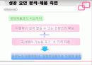 닌텐도의 성공 사례 분석 28페이지