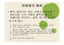 [보건교육] 전염병 8페이지