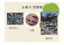 [보건교육] 전염병 9페이지