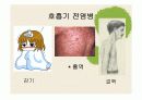 [보건교육] 전염병 10페이지