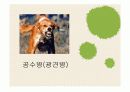[보건교육] 전염병 12페이지
