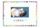 [보건교육] 전염병 20페이지