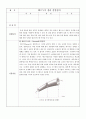 (수리실험)베르누이 실험  1페이지