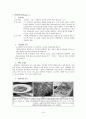 세계 각국의 음식문화 비교(한 일 중 프 이) 24페이지