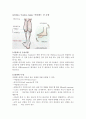 Achilles Tendon Injury 정형외과 호발질환 아킬레스건 손상 1페이지