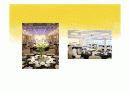 PPT 등록 및 숙박관리 - 컨벤션사업론 컨벤션관리 파워포인트 대학과제 15페이지