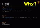 독일의 의료제도  27페이지