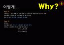 독일의 의료제도  28페이지