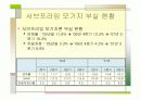 서브프라임 모기지 사태 7페이지