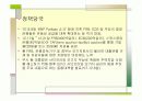 서브프라임 모기지 사태 10페이지