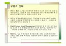 서브프라임 모기지 사태 17페이지